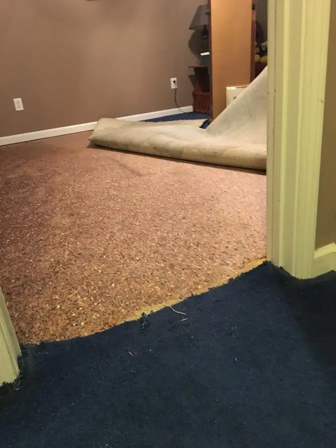 Carpet pad removal revealing water damage during Drying & Dehumidification in Huron